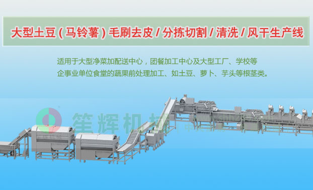 义马连续式土豆去皮清洗切割风干生产线